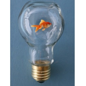 Fish in a Light Bulb by Dick Barry