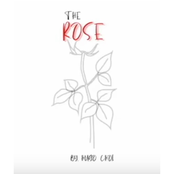 Rose by Hugo Choi