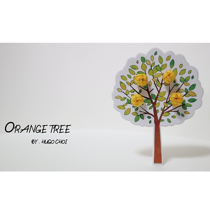 Orange Tree by Hugo Choi
