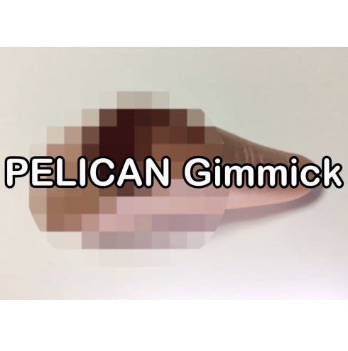 PELICAN Gimmick and Lecture Video Set