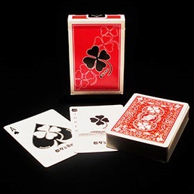 Magnetic Bicycle Playing Card (Blank Face) - Vanishing Inc. Magic shop