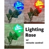 Lighting Rose with Remote Control